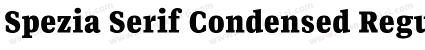 Spezia Serif Condensed Regular D字体转换
